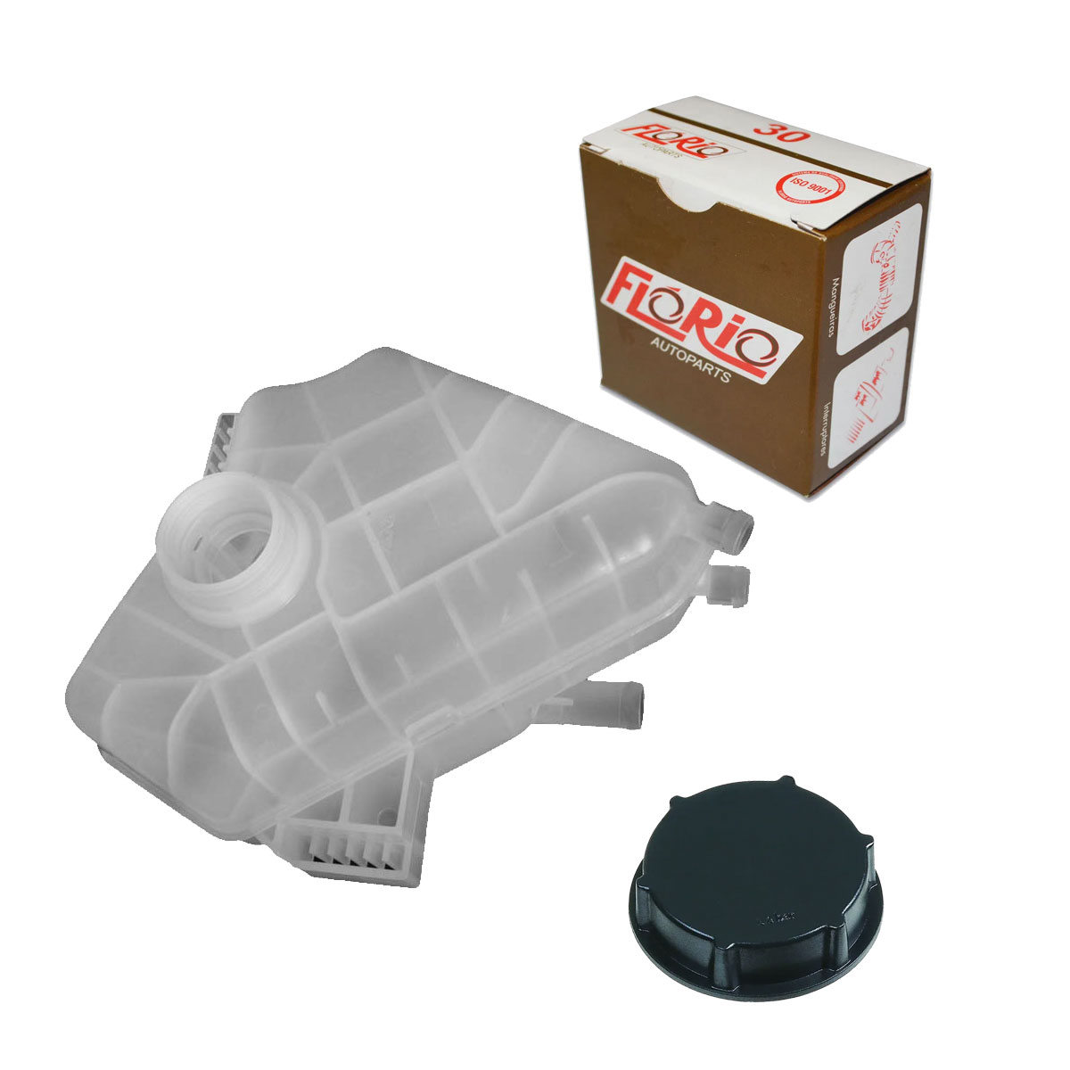 Reservatório Agua Radiador Ecosport 2013 2014 2015 2016 2017