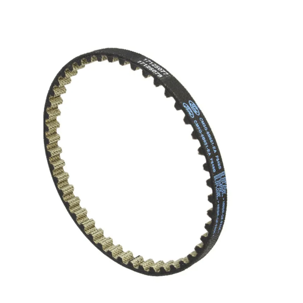 Correia Bomba Óleo Ford Ka 1.0 12V 2014 2015 2016 2017 2018