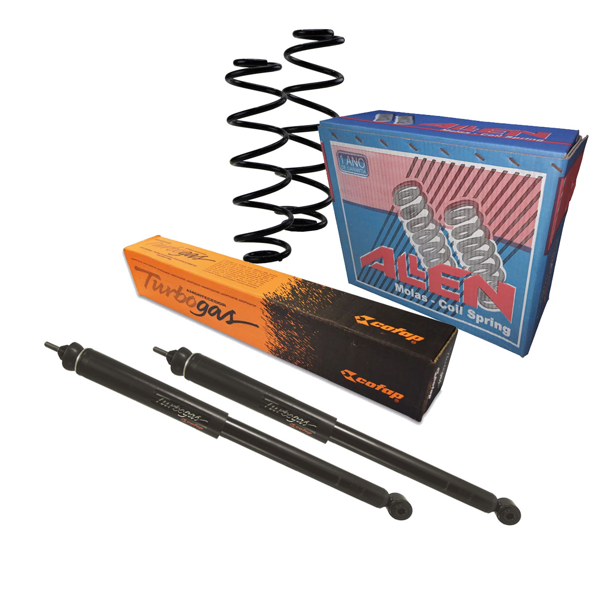 Par Amortecedores Traseiros + Molas New Civic 2007 2008 2009